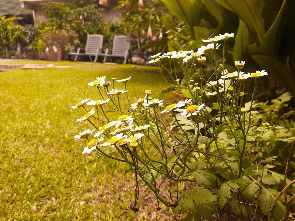 Boquete Town Hostal Ngoại thất bức ảnh